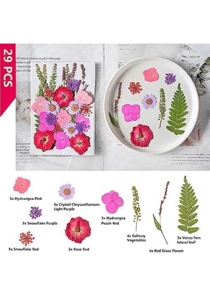 3 Paket Kurutulmuş Preslenmiş Çiçekler, El Sanatları Için Doğal Renkli Preslenmiş Çiçekler Gerçek Kuru Çiçekler Yaprak Seti Kurutulmuş Çiçekler (Yurt Dışından)