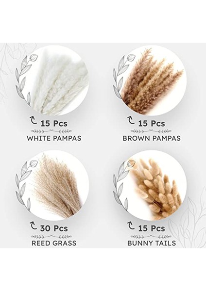 75 Parça Doğal Kamış Pampa Buketleri, Ev Dekorasyonu, Düğünler, Vazo Dolguları, Boho Dekoru, Ofis Için Mükemmel (Yurt Dışından) fiyatları