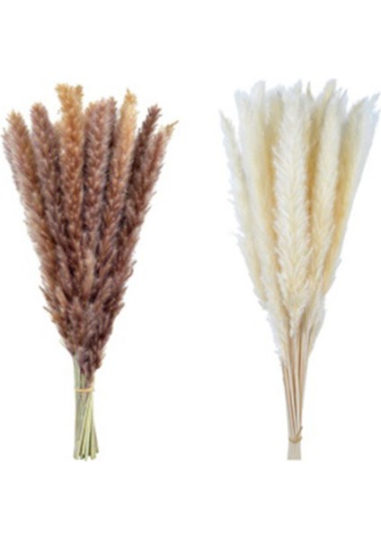 60'lı Paket Pampas Çim Kurutulmuş Süslemeler Kurutulmuş Çiçekler 55 cm Iç Dekorasyon Fotoğrafçılığı Düğün Sahne Için (Yurt Dışından)