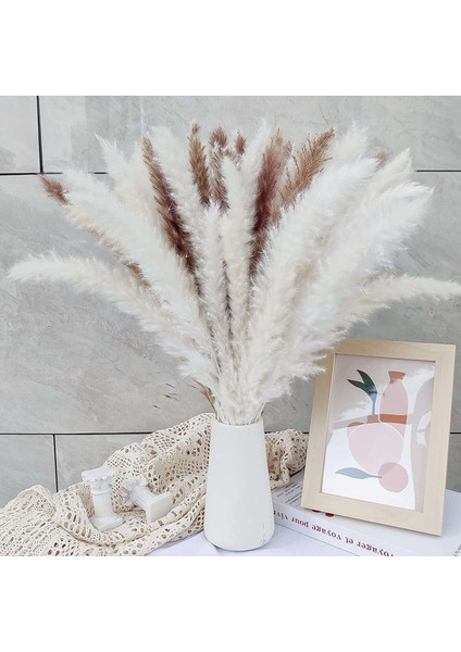 60'lı Paket Pampas Çim Kurutulmuş Süslemeler Kurutulmuş Çiçekler 55 cm Iç Dekorasyon Fotoğrafçılığı Düğün Sahne Için (Yurt Dışından) fiyatları