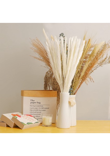 60'lı Paket Pampas Çim Kurutulmuş Süslemeler Kurutulmuş Çiçekler 55 cm Iç Dekorasyon Fotoğrafçılığı Düğün Sahne Için (Yurt Dışından) fırsatları