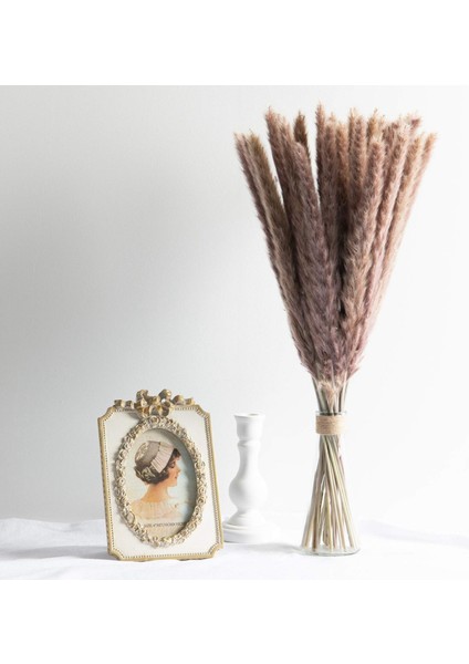 60'lı Paket Pampas Çim Kurutulmuş Süslemeler Kurutulmuş Çiçekler 55 cm Iç Dekorasyon Fotoğrafçılığı Düğün Sahne Için (Yurt Dışından) indirimleri