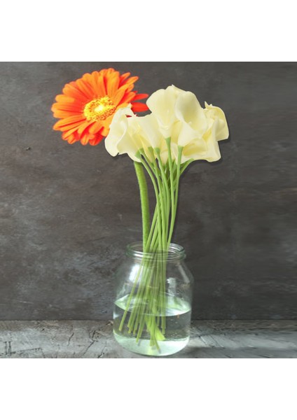 18X Yapay Calla Zambak Çiçekleri Tek Uzun Kök Buket Gerçek Ev Dekor Renk: Kremsi (Yurt Dışından) indirimleri