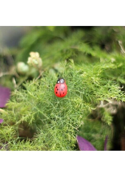 100X Minyatür Bonsai Sanatsal Dollhouse Ahşap Bahçe Peyzaj Uğur Böceği Dekorasyonu (Yurt Dışından) fiyatları
