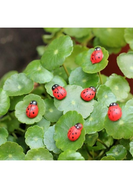 100X Minyatür Bonsai Sanatsal Dollhouse Ahşap Bahçe Peyzaj Uğur Böceği Dekorasyonu (Yurt Dışından) modelleri