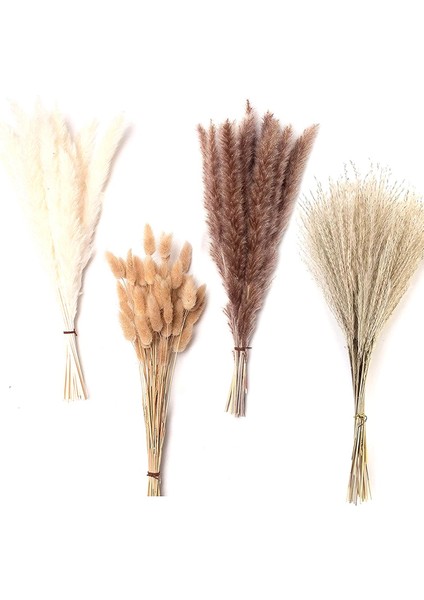 Pampas Çim Dekoru, 100 Adet Doğal Kurutulmuş Kabarık Büyük Gösterişli Çim, Boho Ev Düğün Dekor Için 17.5 Inç Kurutulmuş Çiçekler (Yurt Dışından)