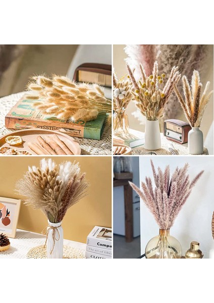 Pampas Çim Dekoru, 100 Adet Doğal Kurutulmuş Kabarık Büyük Gösterişli Çim, Boho Ev Düğün Dekor Için 17.5 Inç Kurutulmuş Çiçekler (Yurt Dışından)