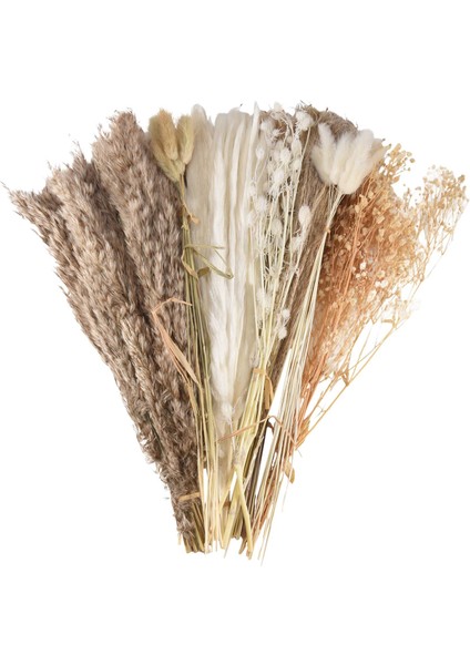 100 Adet Buket Doğal Kurutulmuş Pampas Çim Buketi Kurutulmuş Çiçek Boho Ev Dekor Buket Düğün Için Çiçek (Yurt Dışından)