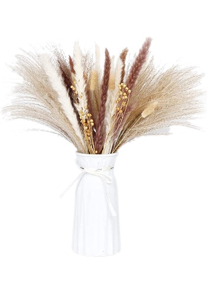 Pappas Çim Erikleri, Kabarık Pappas Çim Bitki Dalları, Tusk ve Bulldog, Sahte Pappas Buket Bitkiler Ev Dekor Düğün (Yurt Dışından)