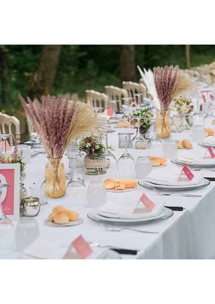Pappas Çim Erikleri, Kabarık Pappas Çim Bitki Dalları, Tusk ve Bulldog, Sahte Pappas Buket Bitkiler Ev Dekor Düğün (Yurt Dışından) fırsatları