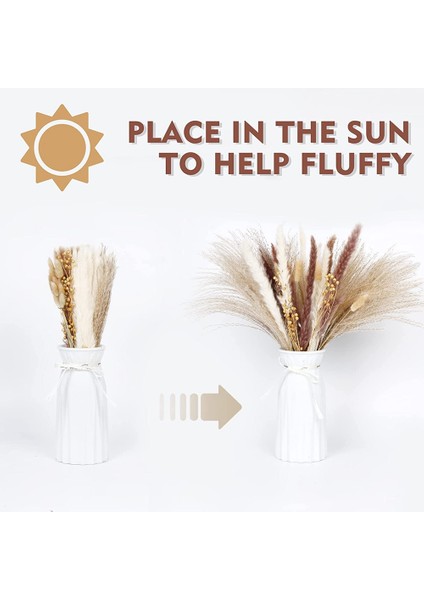 Pappas Çim Erikleri, Kabarık Pappas Çim Bitki Dalları, Tusk ve Bulldog, Sahte Pappas Buket Bitkiler Ev Dekor Düğün (Yurt Dışından) indirimleri