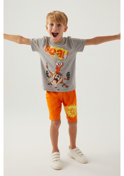 Bugs Gri Melanj Erkek Çocuk Bermuda Takım fiyatları