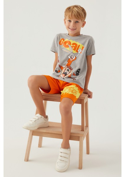 Bugs Gri Melanj Erkek Çocuk Bermuda Takım modelleri