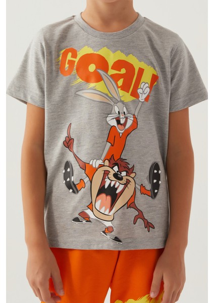 Bugs Gri Melanj Erkek Çocuk Bermuda Takım fırsatları