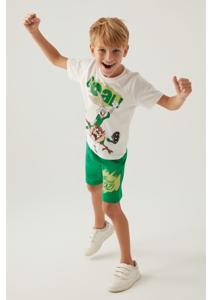 Bugs Indigo Erkek Çocuk Bermuda Takım fiyatları