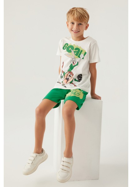 Bugs Indigo Erkek Çocuk Bermuda Takım modelleri