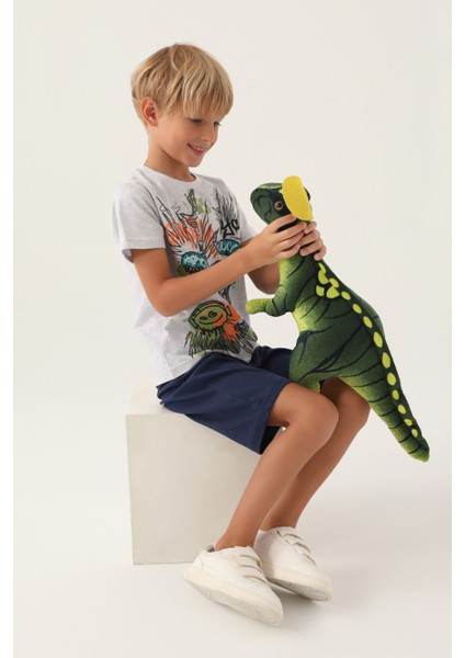 Wild Life Kar Melanj Erkek Çocuk Bermuda Takım modelleri