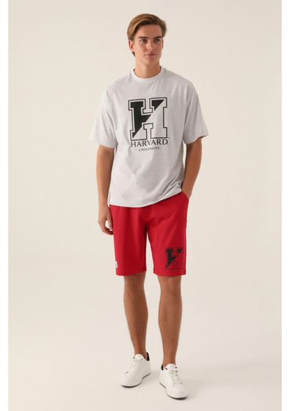 Universty Kar Melanj Erkek T-Shirt indirimleri