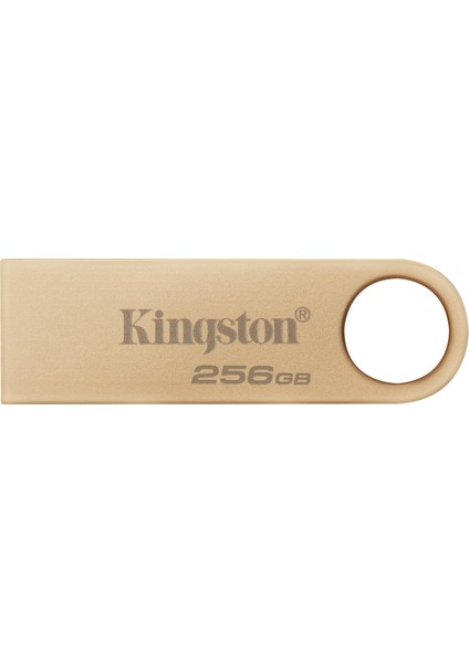 KINGSTON 256G DataTraveler DTSE9G3/256GB