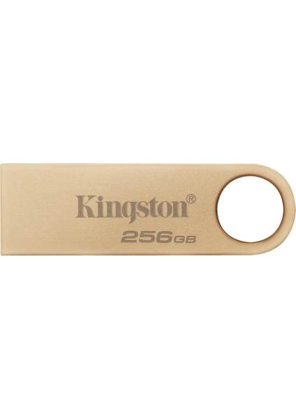 KINGSTON 256G DataTraveler DTSE9G3/256GB