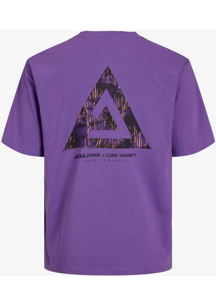 Jcotriangle Erkek Mor T-Shirt 12253435-DEEPLAVENDER