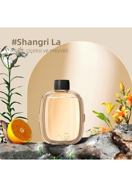 Mio Smell 2x Aromaterapi Yedek Oda Kokusu - Shangri-La Kokusu (1 Adet)