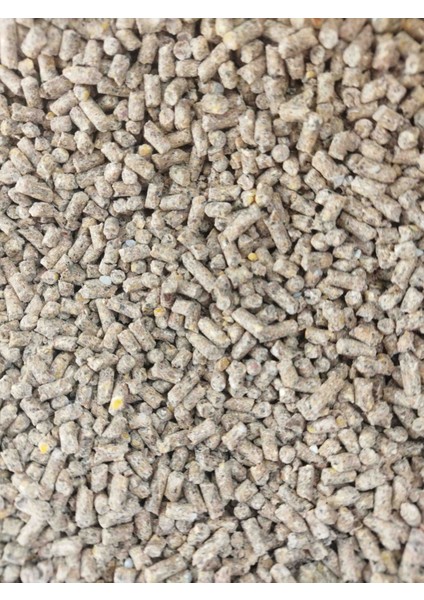 10 kg Yumurtalık Tavuk Yemi Özlem Marka fiyatları