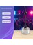Mini Mist Maker, 12 LED Mister Sisleyici Su Çeşmesi Gölet Sis Makinesi (Yurt Dışından) 5