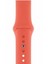 Apple Watch Seri 1/2/3/4/5/6/7/8/se/ultra 38MM 40MM 41MM Kordon Kayış Bileklik Klasik Silikon Somon 1