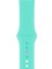 Apple Watch Seri 1/2/3/4/5/6/7/8/se/ultra 42MM 44MM 45MM 49MM Kordon Kayış Bileklik Klasik Silikon Turkuaz 1