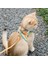 Kedi Tasması, Yansıtıcı Yelek Göğüs Kayışı Anti-Breakway Tasması (Yurt Dışından) 3