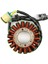 Motosiklet Jeneratör Stator Bobini TRX420 Rancher Fe Fm Te Tm Fpe Fpm 2007-2013 31120-HP5-601 31120-HP5-A51 (Yurt Dışından) 1