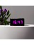 Sanec Dijital LED Duvar ve Masa Saati - Mor (Kasa Ölçüleri: 7X17 Cm) 1
