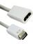 Mini DVI Erkek - Dişi Video Adaptör Kablosu Ad-Mdvı- (Yurt Dışından) 1