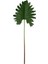Leaf Yaprak 1