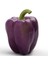 Ithal Nadir Mor Dolmalık Biber Tohumu 5 Adet Tohum 3