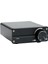 100 W D100 TPA3116 Dijital Güç Amplifikatörü Tek Ses Kanalı Sınıf D Masaüstü Subwoofer Ev Ses Stereo Sistemi Için (Yurt Dışından) 1