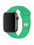 Apple Watch Seri 1/2/3/4/5/6/7/8/se/ultra 38MM 40MM 41MM Kordon Kayış Bileklik Klasik Silikon Fosfor Yeşil 2