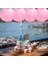 Parti Düğün Için 1 x Çin Japon Kağıt Fener Abajur, 40CM(16") Pembe (Yurt Dışından) 3