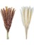 60'lı Paket Pampas Çim Kurutulmuş Süslemeler Kurutulmuş Çiçekler 55 cm Iç Dekorasyon Fotoğrafçılığı Düğün Sahne Için (Yurt Dışından) 1