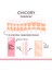 Chicory Jel Tırnak Şeritleri Soft Pınk 4