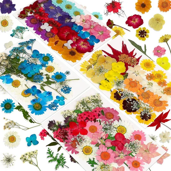 Passing 144 Adet Doğal Kurutulmuş Preslenmiş Çiçekler Reçine, Kuru Çiçek Toplu Doğal Otlar Seti Mum, Epoksi Reçine, Dıy Sanat El Sanatları (Yurt Dışından)