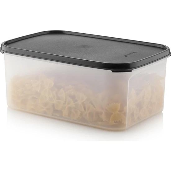 Tupperware Modüler Dikdörtgen Kap 4.3l