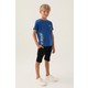  Renk Cobalt