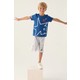  Renk Cobalt