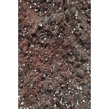 Bitkim Sende Özel Karışım Vitaminli Kaktüs Toprağı 5 Litre