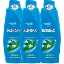 Blendax Saç Dökülmelerine Karşı Isırgan Özlü Şampuan 500 ml x 3 Adet