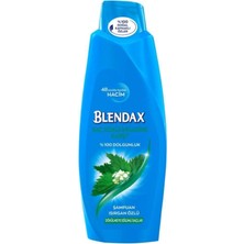 Blendax Saç Dökülmelerine Karşı Isırgan Özlü Şampuan 500 ml x 3 Adet