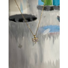 Stainless Steel Zirkon Taşlı Kalpli Çelik Kolye Altın