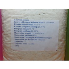 Yörükoğlu Istiridye Mantar Tohumu 1 kg (Ekim Mikro Delikli Siyah Poşet Hediye )